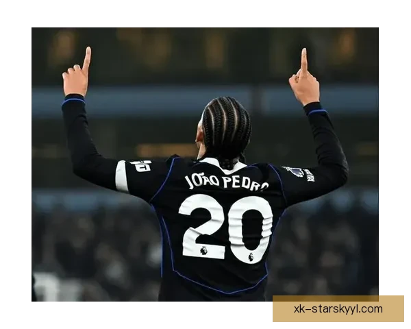 乔科尔赞若昂佩德罗野兽般技术